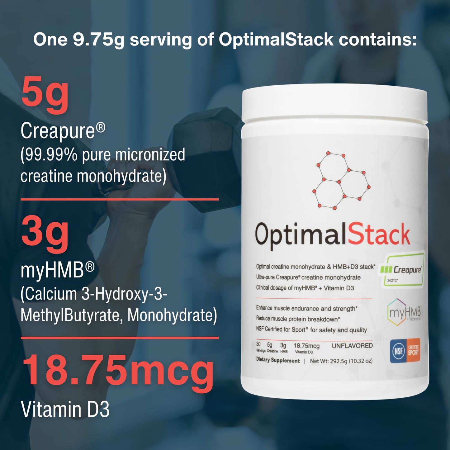 OptimalStack Creatine Monohydrate, HMB, & Vitamin D3 Stack | with Creapure Creatine, Clinical Dosage of myHMB, and Vitamin D3 | NSF for Sport Certified | Unflavored, 30 Servings - Maple Wellness Supplements