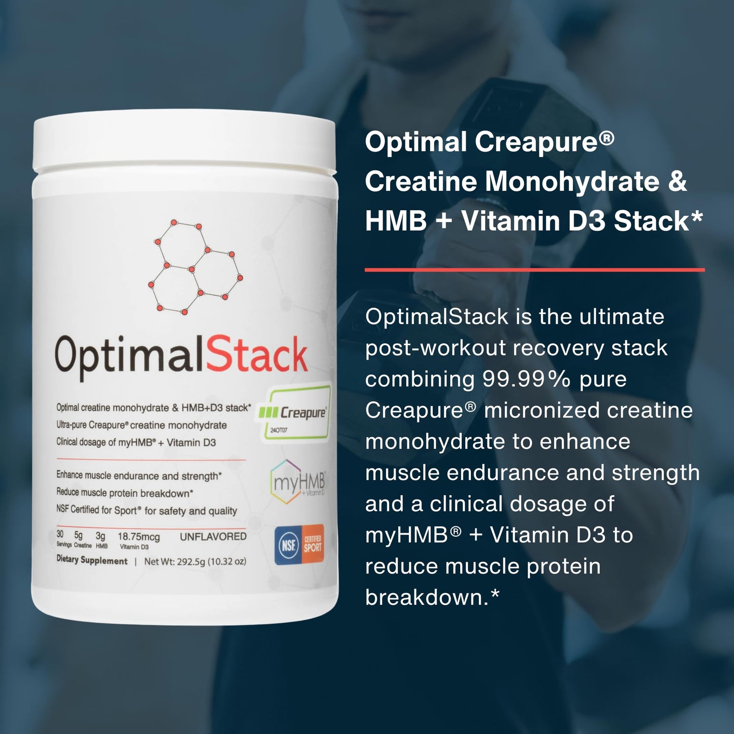 OptimalStack Creatine Monohydrate, HMB, & Vitamin D3 Stack | with Creapure Creatine, Clinical Dosage of myHMB, and Vitamin D3 | NSF for Sport Certified | Unflavored, 30 Servings - Maple Wellness Supplements