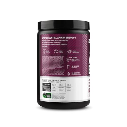 Optimum Nutrition Amino Energy - Pre Workout with Green Tea, BCAA, Amino Acids - Maple Wellness Supplements