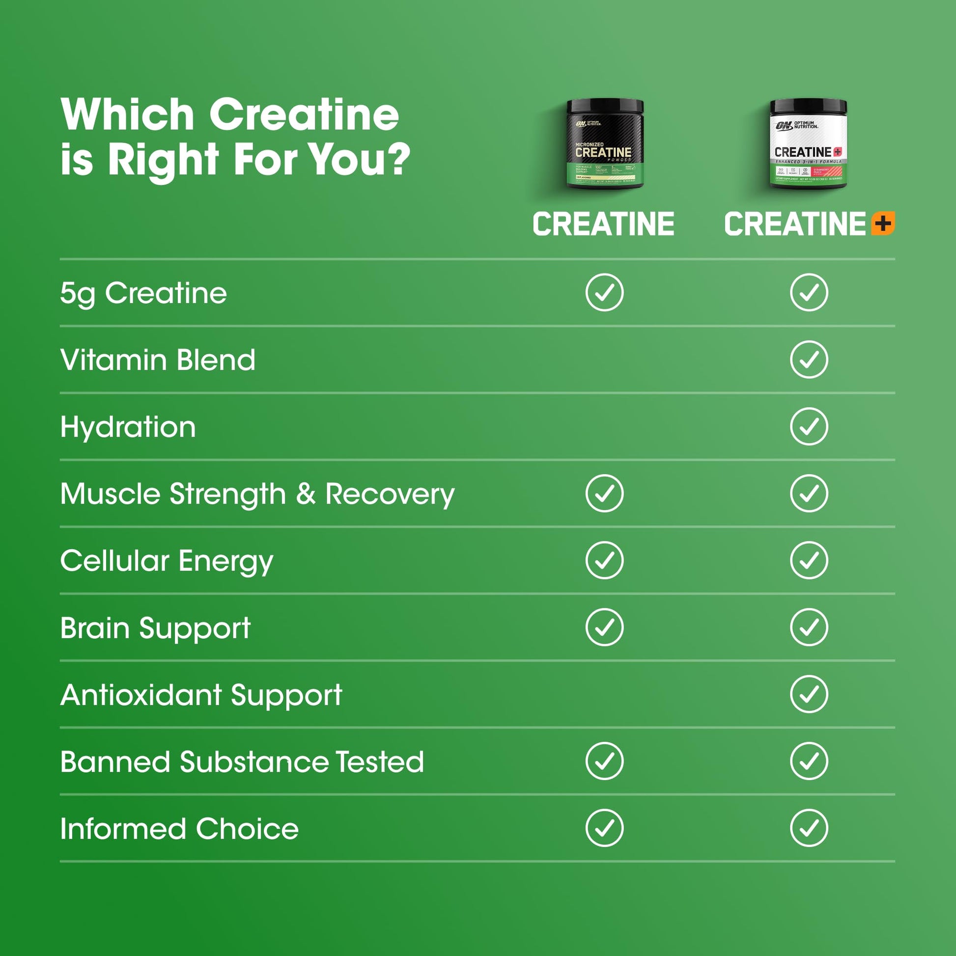 Optimum Nutrition Creatine Monohydrate Plus Powder, Strawberry Peach Flavored Creatine Performance Blend, with Electrolytes for Hydration, Added Vitamins - Maple Wellness Supplements