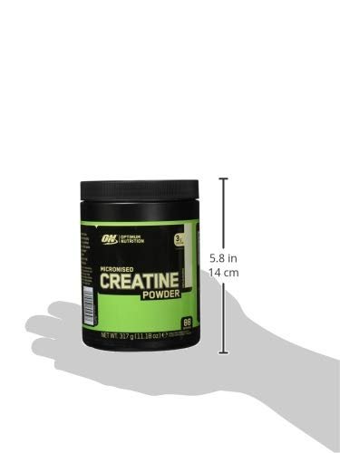 Optimum Nutrition Micronised Creatine Powder, 100% Pure Creatine Monohydrate Powder - Maple Wellness Supplements