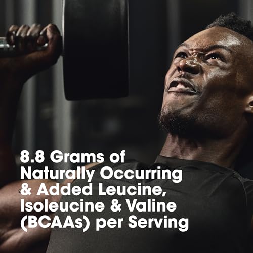 Optimum Nutrition Platinum Hydrowhey Protein Powder, 100% Hydrolyzed Whey Protein - Maple Wellness Supplements