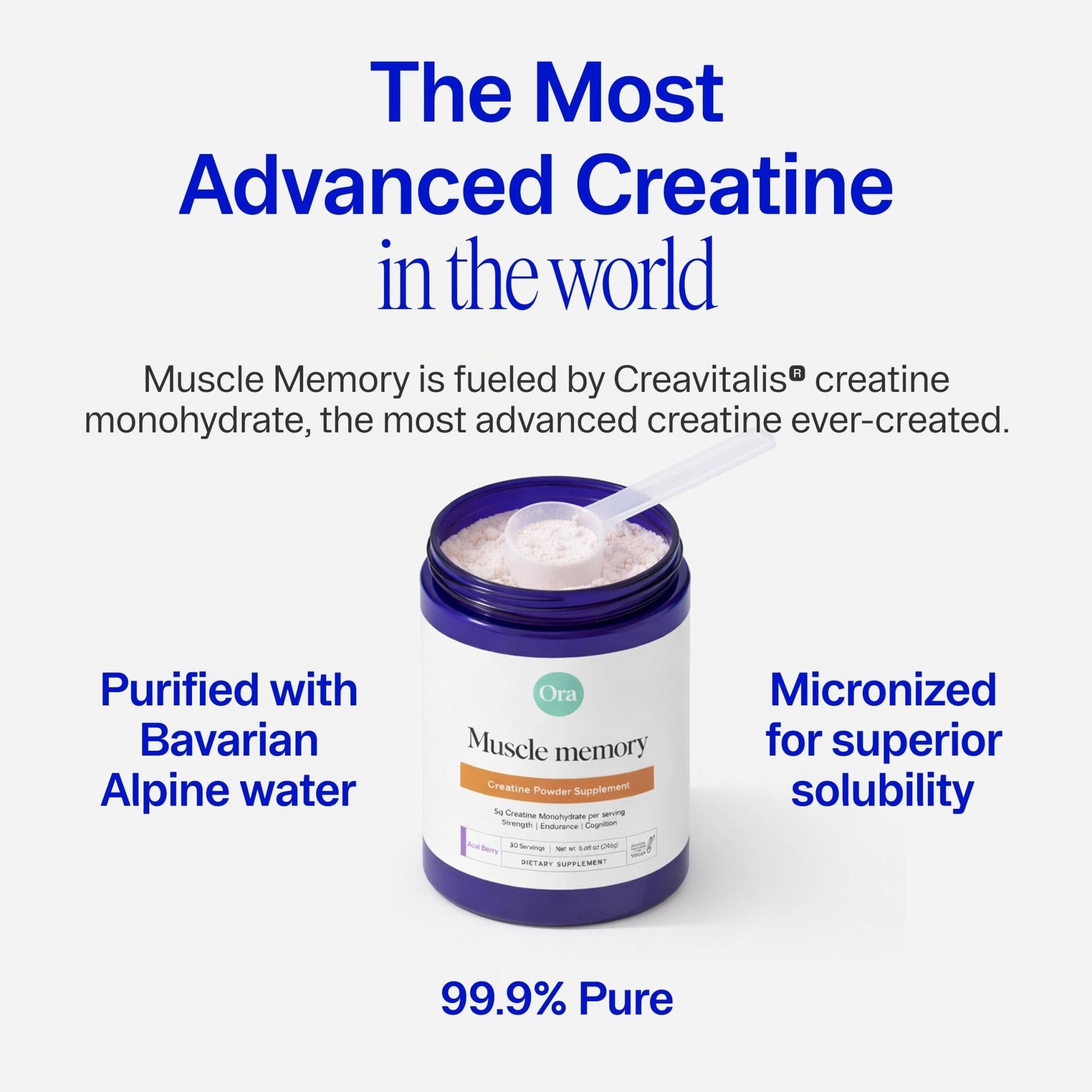 Ora Organic Creatine Monohydrate Powder - German-Sourced Creavitalis for Strength, elevATP for Energy, D-Ribose & Taurine for Recovery - Creatine for Women & Men - Acai Berry Flavor, 30 Servings - Maple Wellness Supplements