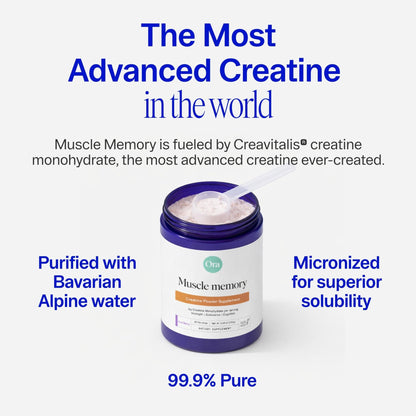 Ora Organic Creatine Monohydrate Powder - German-Sourced Creavitalis for Strength, elevATP for Energy, D-Ribose & Taurine for Recovery - Creatine for Women & Men - Acai Berry Flavor, 30 Servings - Maple Wellness Supplements