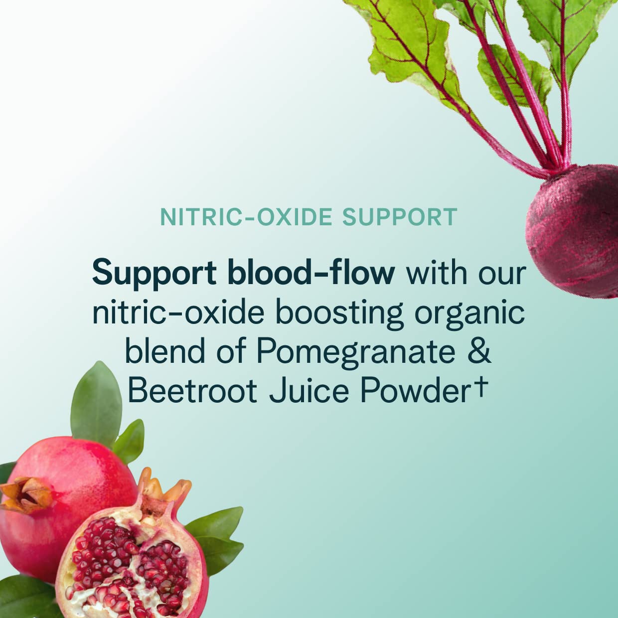 Ora Organic Natural Pre Workout Powder - Raspberry Lemonade Flavor- Provides Jitter Free Energy, Focus, Hydration, & Endurance - Vegan, Certified Organic, Soy, Dairy, & Gluten Free, 20 Servings - Maple Wellness Supplements