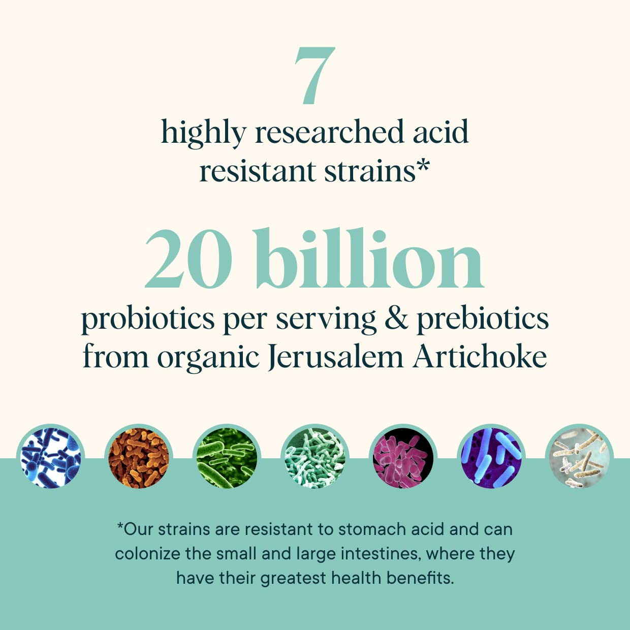 Ora Organic Prebiotic and Probiotic Powder Supplement - 20 Billion Probiotics, 7 Strains for Best Prebiotic Powder, Non-GMO, Probiotics for Women, Men & Kids - Maple Wellness Supplements