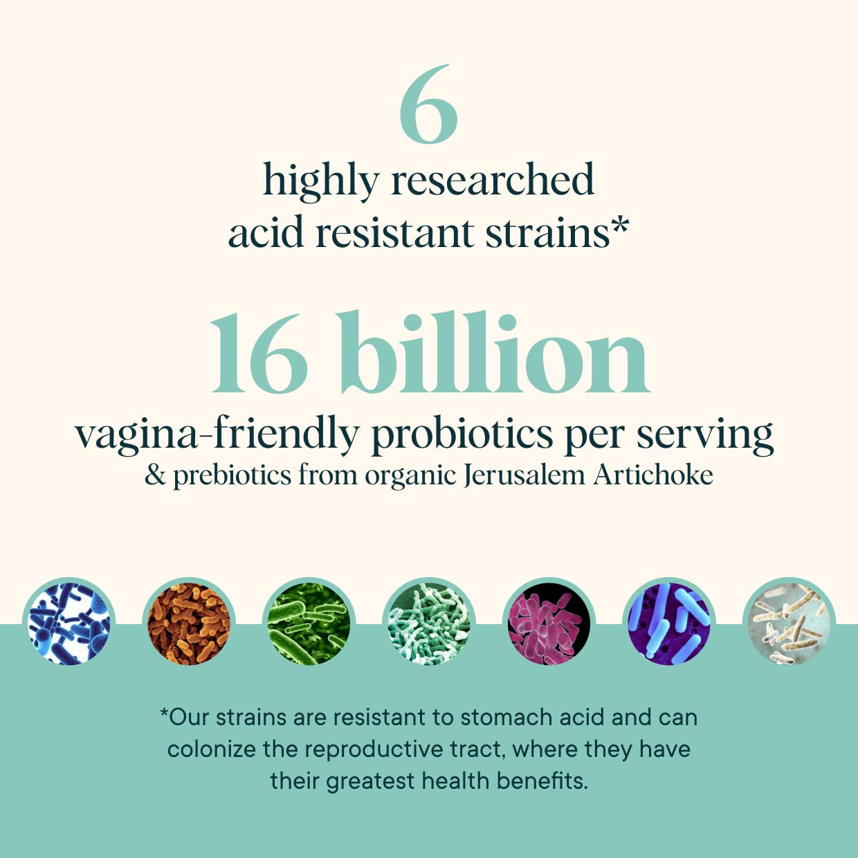 Ora Organic Prebiotics and Probiotics for Women - Lactobacillus for Vaginal and Urinary Tract Health, Contains 16 Billion CFU, 6 Strains - 1 Month Supply, 60 Vegan Probiotic Capsules - Maple Wellness Supplements