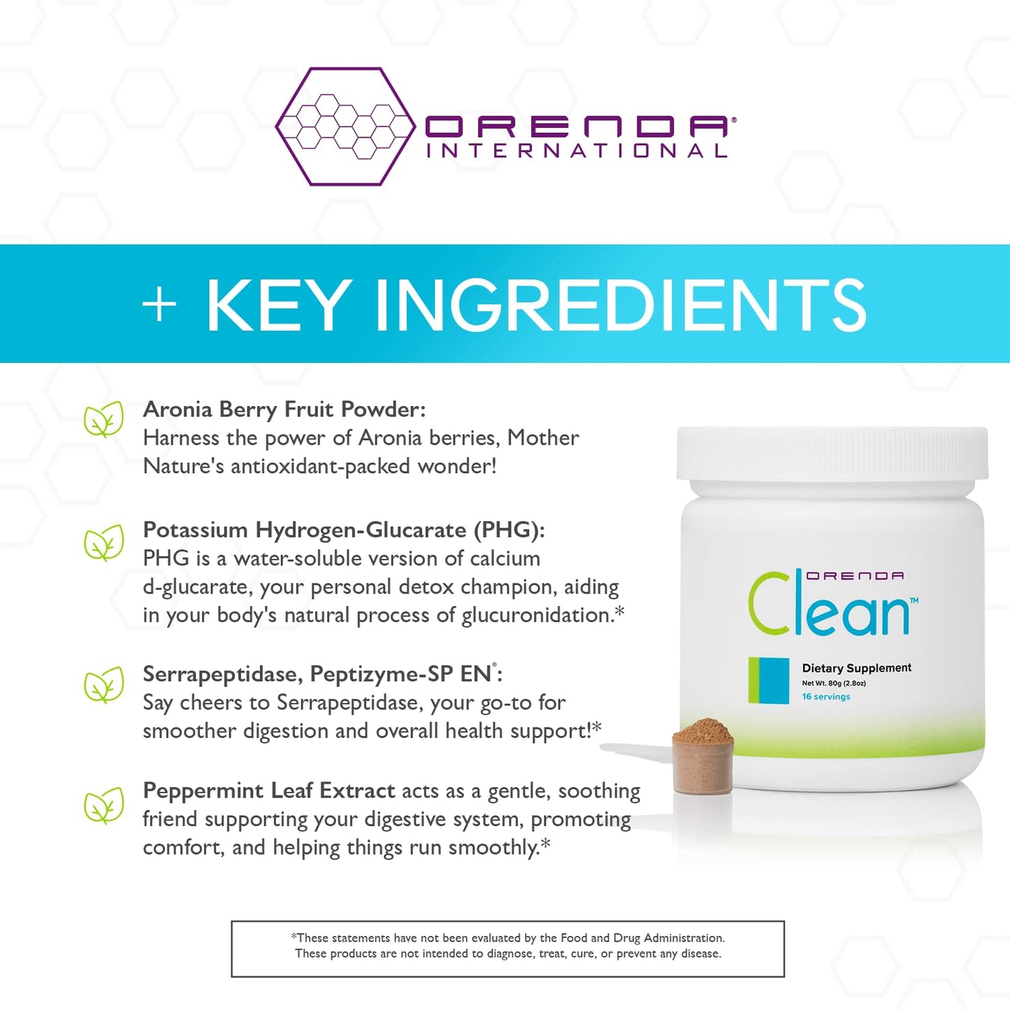 Orenda Clean - Peptizyme-SP EN, Aronia Berry, Aloe Vera and More for Digestive Support - Nutrient-Rich Supplement for Wellness - 80g, 16 Servings - Maple Wellness Supplements