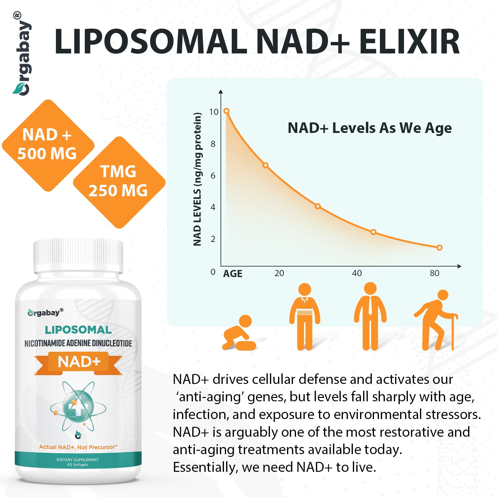 Orgabay Liposomal NAD+ Supplement 500 mg, High Absorption, Boost NAD+ with TMG 250 mg, Actual NAD Plus More Efficient Than Nicotinamide Riboside, Support Cellular Energy, Healthy Aging | 240 Softgels - Maple Wellness Supplements