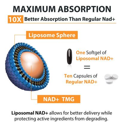 Orgabay Liposomal NAD+ Supplement 500 mg, High Absorption, Boost NAD+ with TMG 250 mg, Actual NAD Plus More Efficient Than Nicotinamide Riboside, Support Cellular Energy, Healthy Aging | 180 Softgels - Maple Wellness Supplements