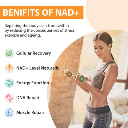 Orgabay Liposomal NAD+ Supplement 500 mg, High Absorption, Boost NAD+ with TMG 250 mg, Actual NAD Plus More Efficient Than Nicotinamide Riboside, Support Cellular Energy, Healthy Aging | 60 Softgels - Maple Wellness Supplements