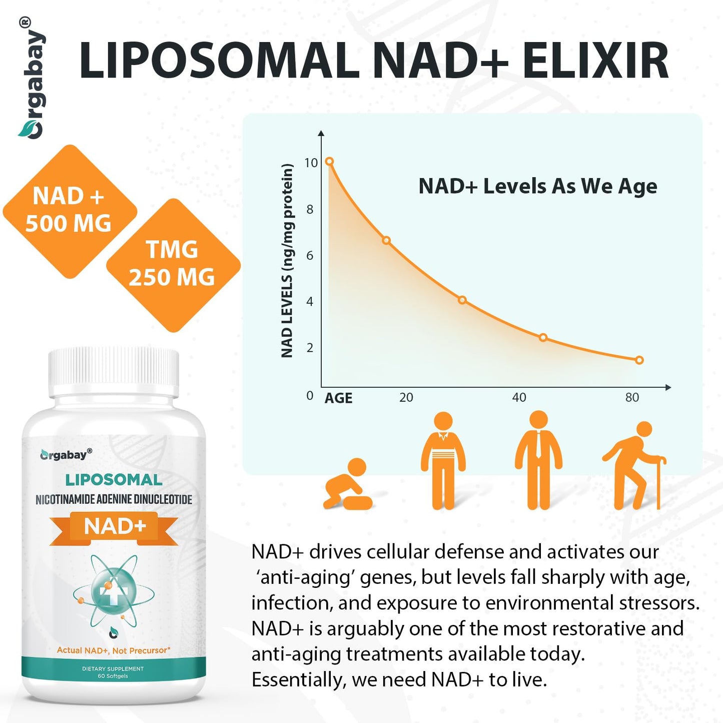 Orgabay Liposomal NAD+ Supplement 500 mg, High Absorption, Boost NAD+ with TMG 250 mg, Actual NAD Plus More Efficient Than Nicotinamide Riboside, Support Cellular Energy, Healthy Aging | 180 Softgels - Maple Wellness Supplements