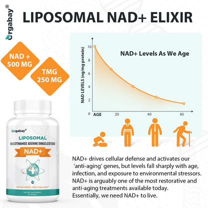 Orgabay Liposomal NAD+ Supplement 500 mg, High Absorption, Boost NAD+ with TMG 250 mg, Actual NAD Plus More Efficient Than Nicotinamide Riboside, Support Cellular Energy, Healthy Aging | 180 Softgels - Maple Wellness Supplements