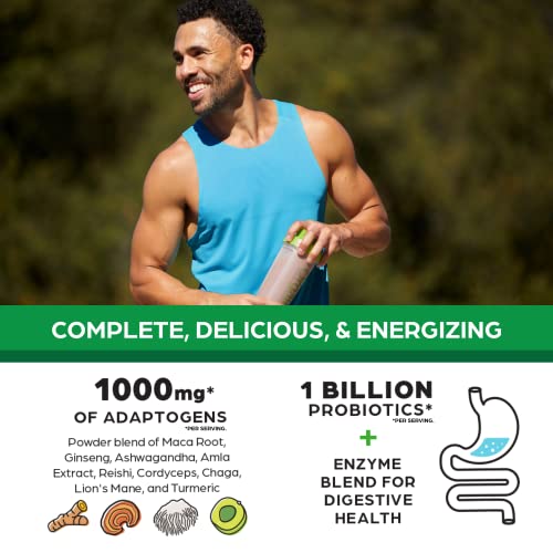 Orgain Organic Perfect Meal Replacement Protein Powder, Chocolate - 25g Plant Based - Maple Wellness Supplements