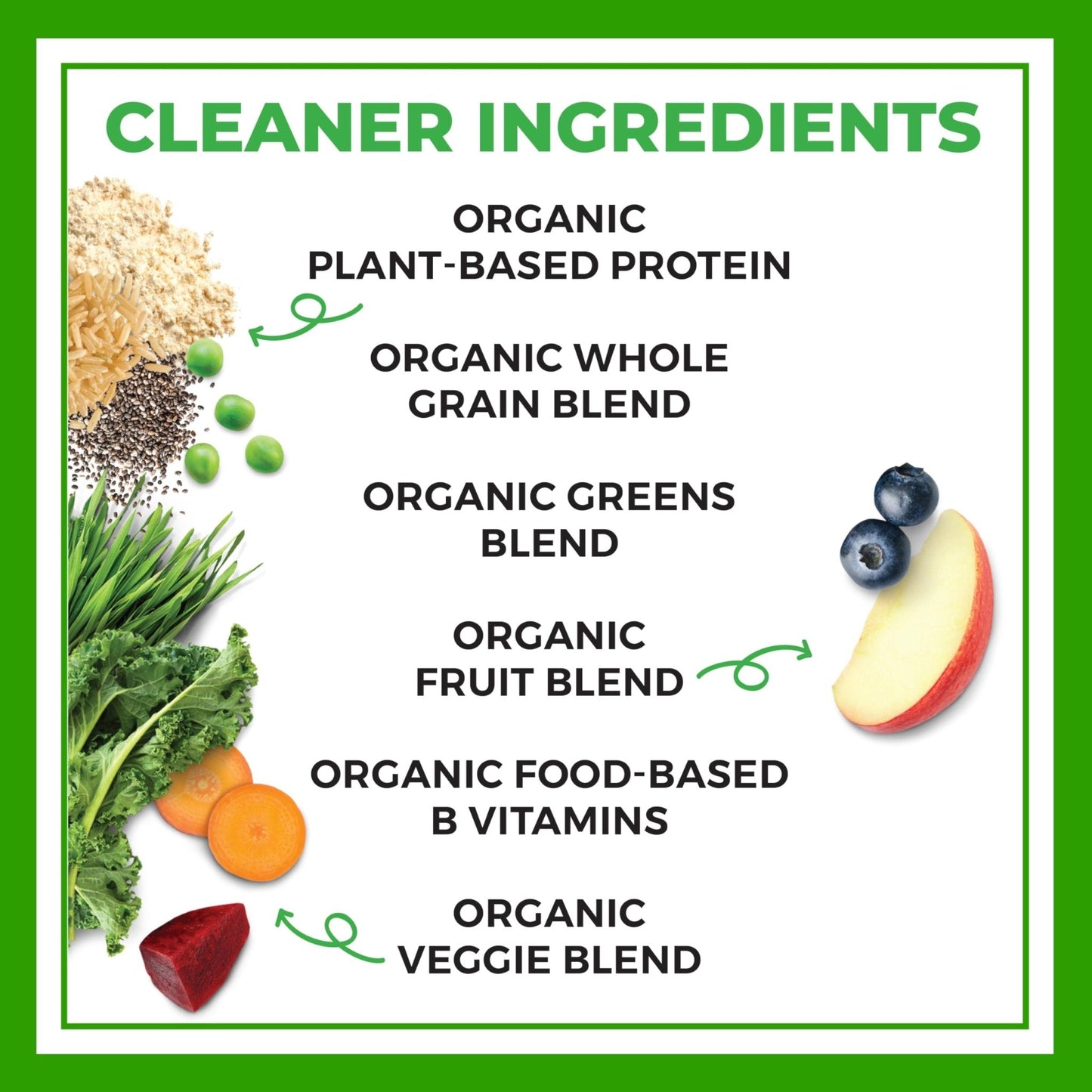 Orgain Organic Vegan Meal Replacement Protein Powder, Creamy Chocolate Fudge - 20g Plant Based Protein, Gluten Free, Dairy Free, Lactose Free, Soy Free, No Sugar Added, - Maple Wellness Supplements