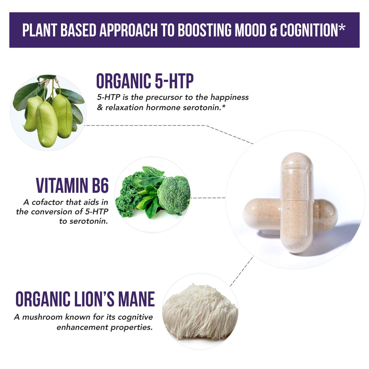 Organic 5-HTP - 200 mg | 99% 5HTP Concentration, Plus Cofactor Vitamin B6 & Lion’s Mane | Water Extracted from Organic Griffonia Seeds | Supports Mood - Maple Wellness Supplements