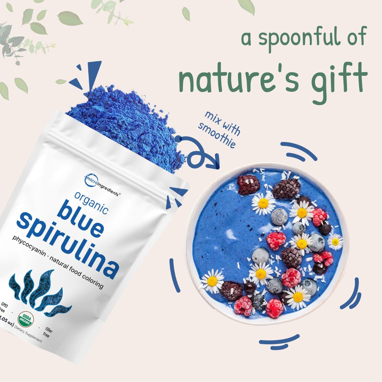 Organic Blue Spirulina Powder (Phycocyanin Extract), 30 Servings - No Fishy Smell, 100% Vegan Protein from Blue-Green Algae, Natural Luminous Food - Maple Wellness Supplements