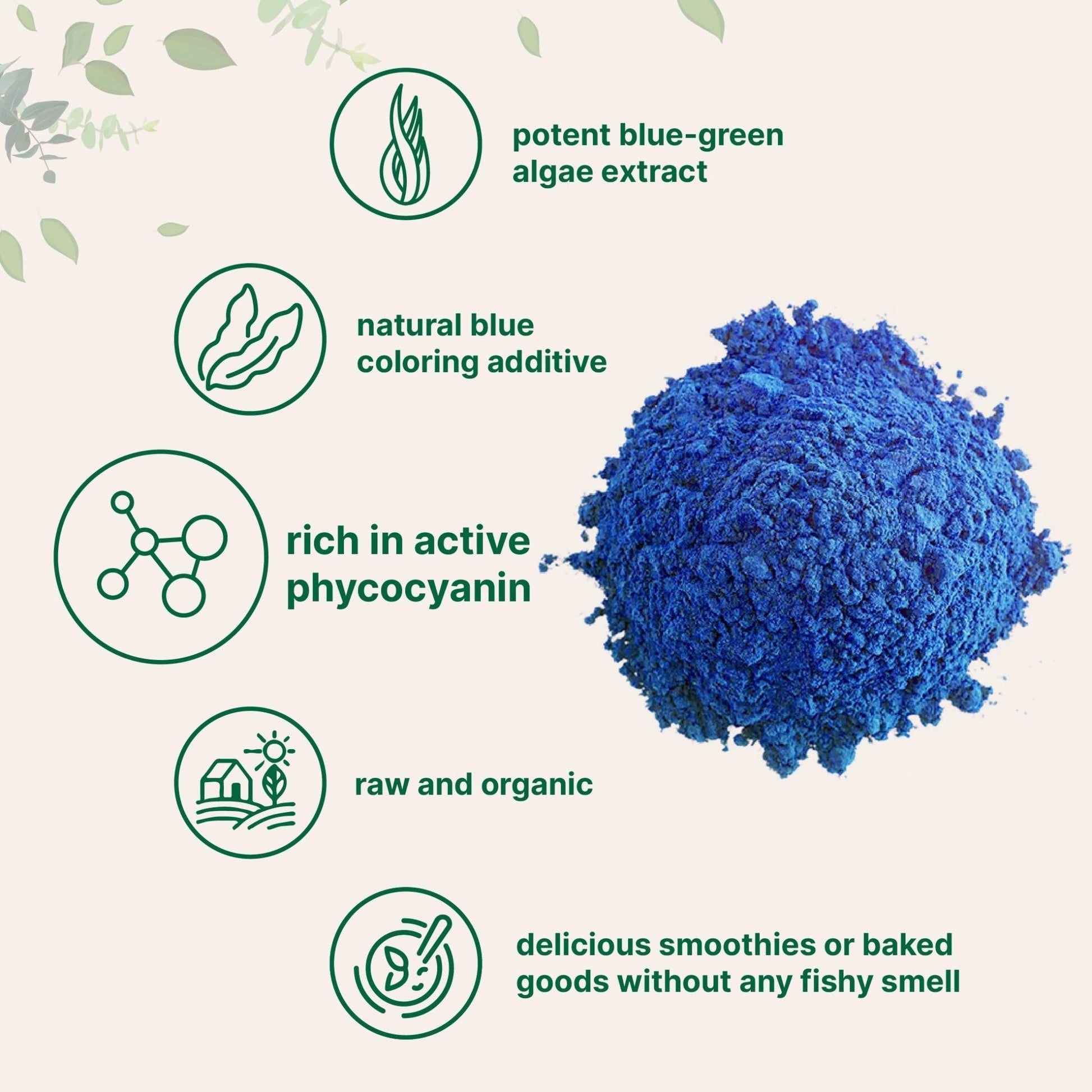 Organic Blue Spirulina Powder (Phycocyanin Extract), 30 Servings - No Fishy Smell, 100% Vegan Protein from Blue-Green Algae, Natural Luminous Food - Maple Wellness Supplements