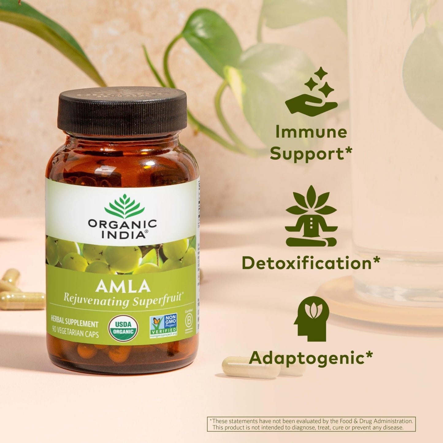ORGANIC INDIA Amalaki Herbal Vitamin Supplement - Immune Support, Vitamin C, Vegan, Gluten-Free, Kosher, Ayurvedic, Antioxidant - Maple Wellness Supplements