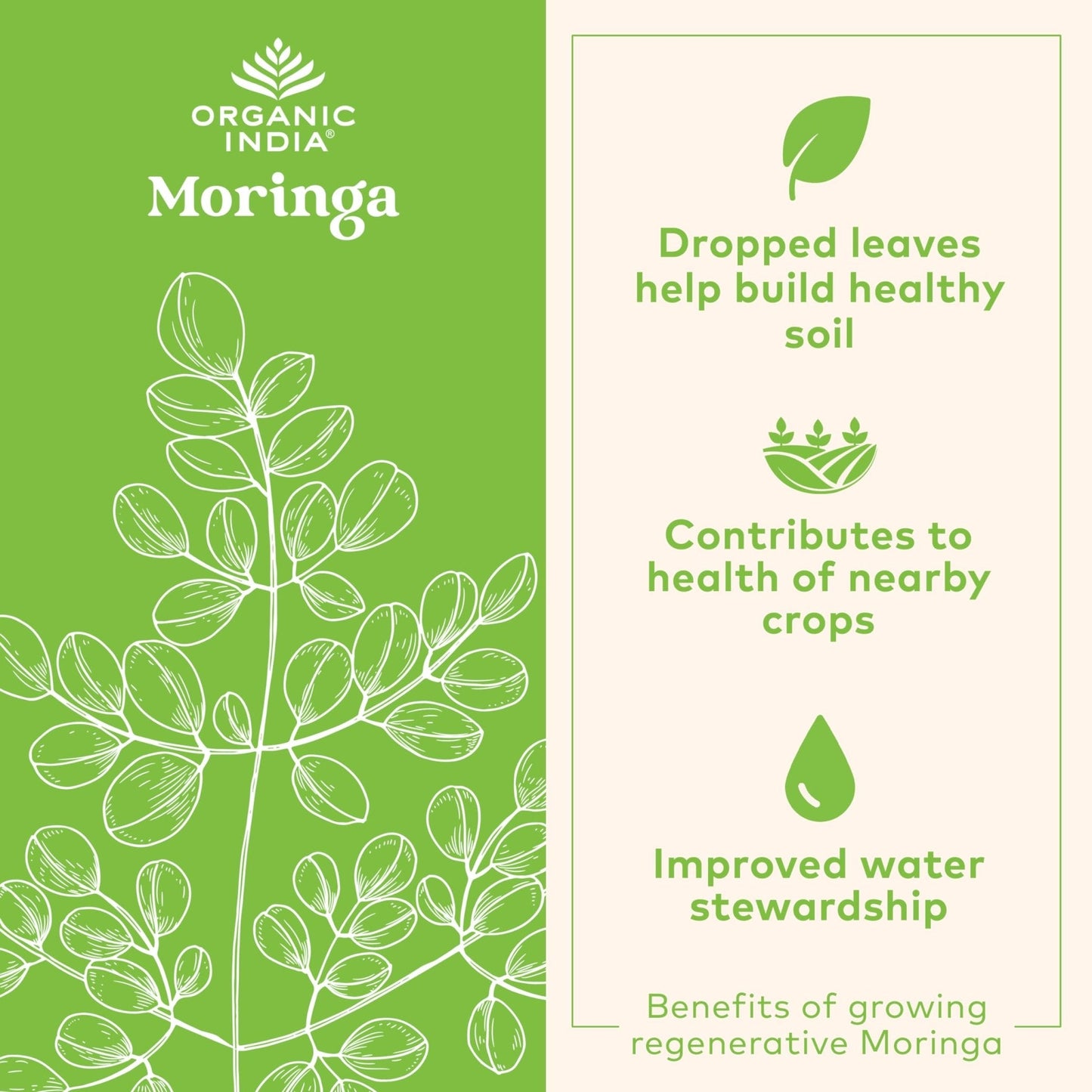 ORGANIC INDIA Moringa Herbal Supplement - Green Superfood, Nutrient Dense, Pure Plant Protein, Vitamin A, E, K, Iron, Calcium, Fiber, Vegan - Maple Wellness Supplements