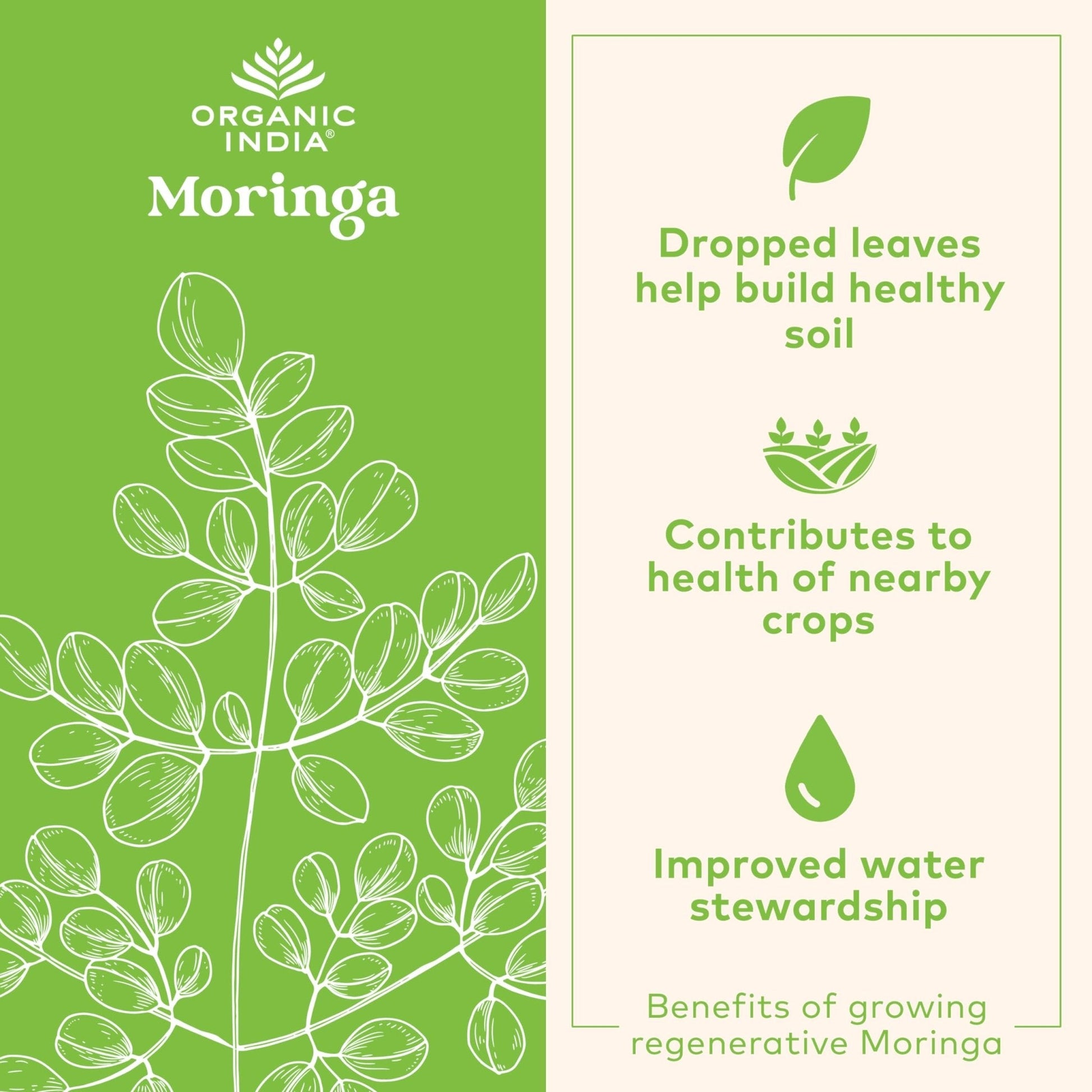 ORGANIC INDIA Moringa Herbal Supplement - Green Superfood, Nutrient Dense, Pure Plant Protein, Vitamin A, E, K, Iron, Calcium, Fiber, Vegan - Maple Wellness Supplements