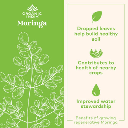 ORGANIC INDIA Moringa Herbal Supplement - Green Superfood, Nutrient Dense, Pure Plant Protein, Vitamin A, E, K, Iron, Calcium, Fiber, Vegan - Maple Wellness Supplements