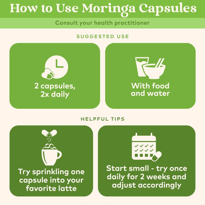ORGANIC INDIA Moringa Herbal Supplement - Green Superfood, Nutrient Dense, Pure Plant Protein, Vitamin A, E, K, Iron, Calcium, Fiber, Vegan - Maple Wellness Supplements