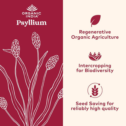 ORGANIC INDIA Psyllium Herbal Powder - Whole Husk Fiber, Vegan, Gluten-Free, USDA Certified Organic, Non-GM - Maple Wellness Supplements