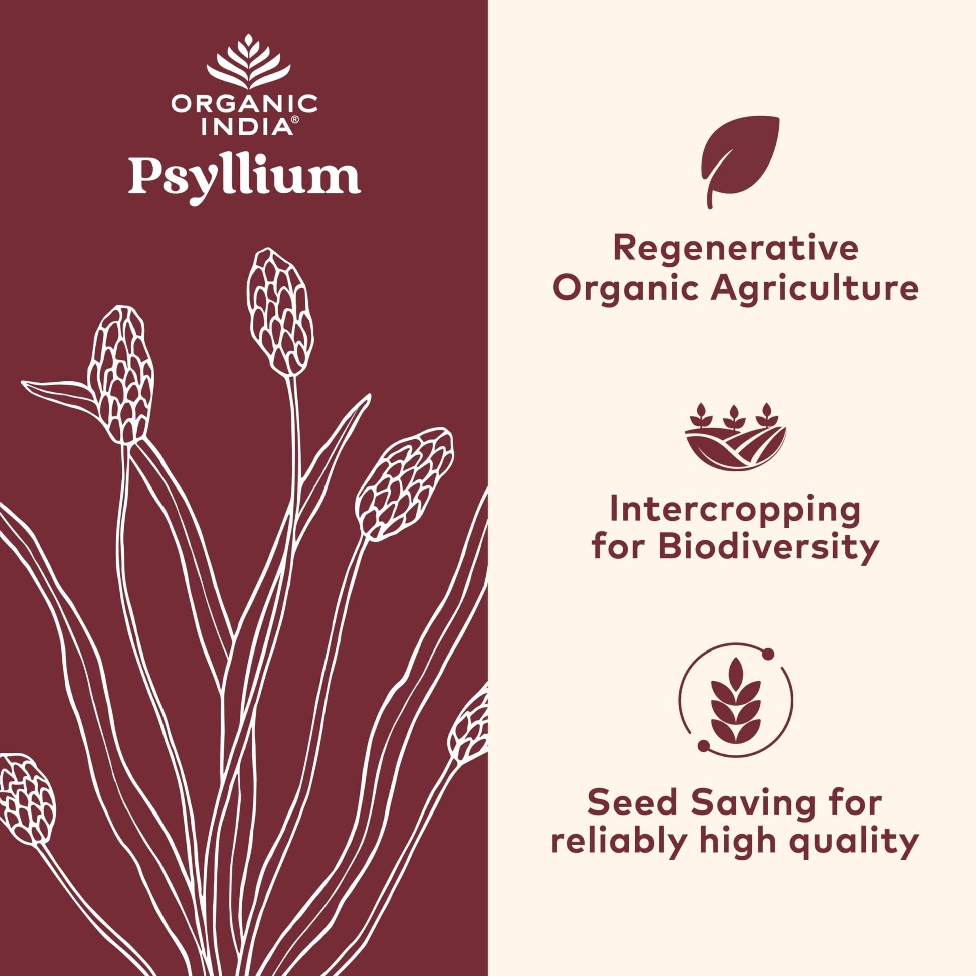 ORGANIC INDIA Psyllium Husk Capsules - Fiber Supplement, Healthy Elimination - Vegan, Keto Friendly, Gluten-Free, USDA Certified Organic, Non-GMO - Maple Wellness Supplements
