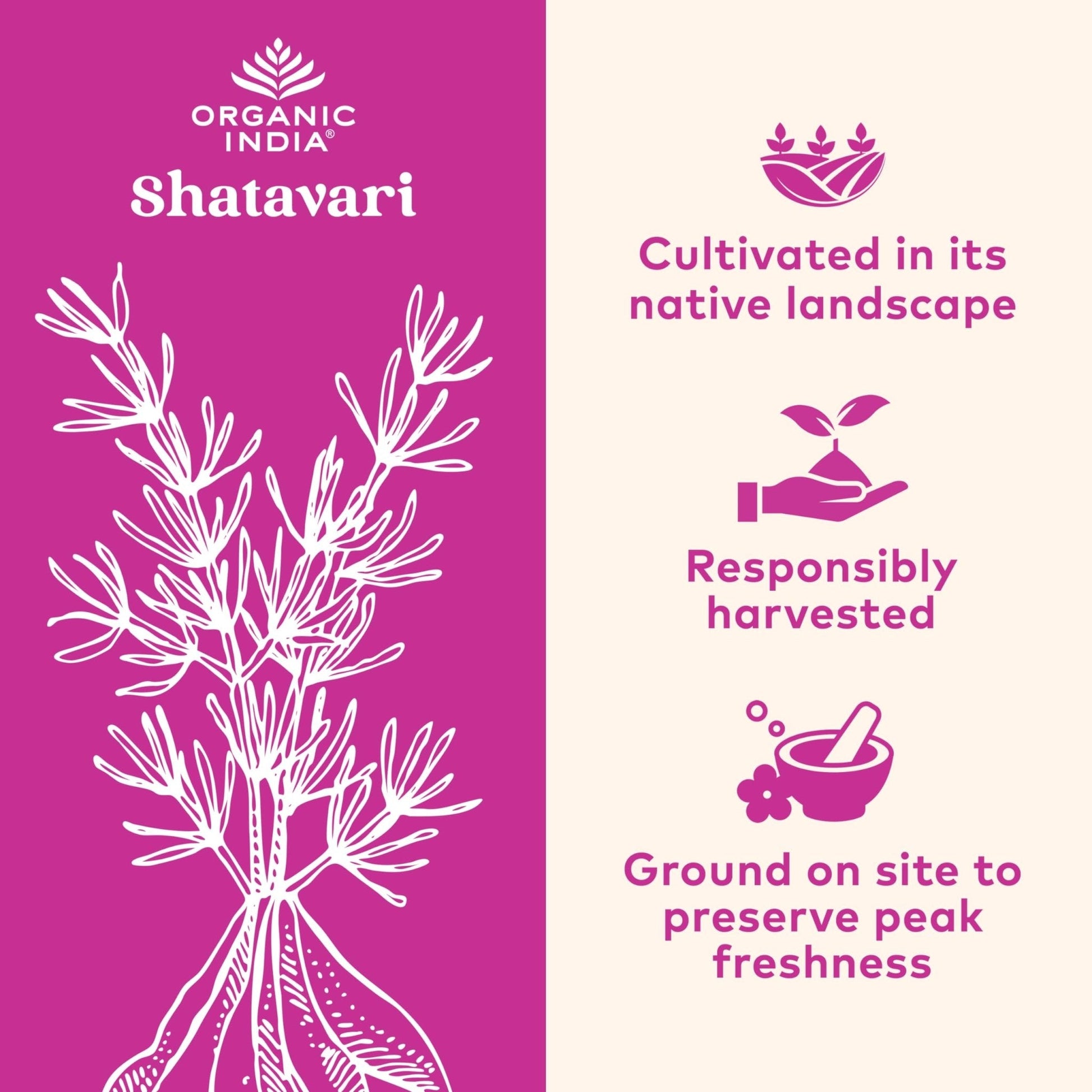 ORGANIC INDIA Shatavari Herbal Supplement - Supports Hormonal Balance, Immune and Inflammatory Response, Vegan, Gluten-Free, USDA Organic, Supports Reproductive Health - 90 Capsules - Maple Wellness Supplements