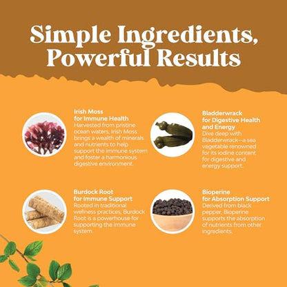 Organic Irish SeaMoss Capsules - Sea Moss and Bladderwrack Capsules with Burdock - Maple Wellness Supplements