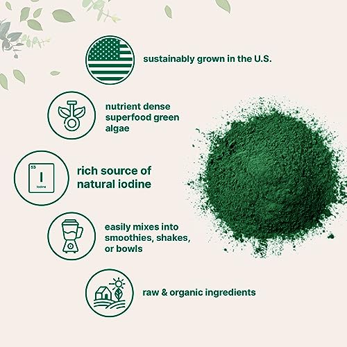 Organic Kelp Powder Supplement, 2lbs | Sustainably US Grown, Raw Ascophyllum Nodosum - Maple Wellness Supplements