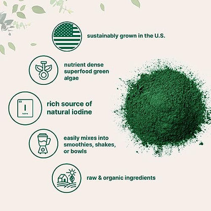 Organic Kelp Powder Supplement, 2lbs | Sustainably US Grown, Raw Ascophyllum Nodosum - Maple Wellness Supplements