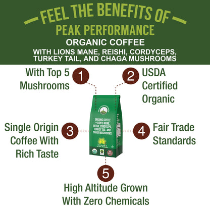 Organic Low Acid Mushroom Coffee with Lion's Mane, Reishi, Cordyceps, Turkey Tail, and Chaga Mushrooms - Great Tasting Premium High Altitude Medium Roast Ground Bags 10 oz by Peak Performance - Maple Wellness Supplements