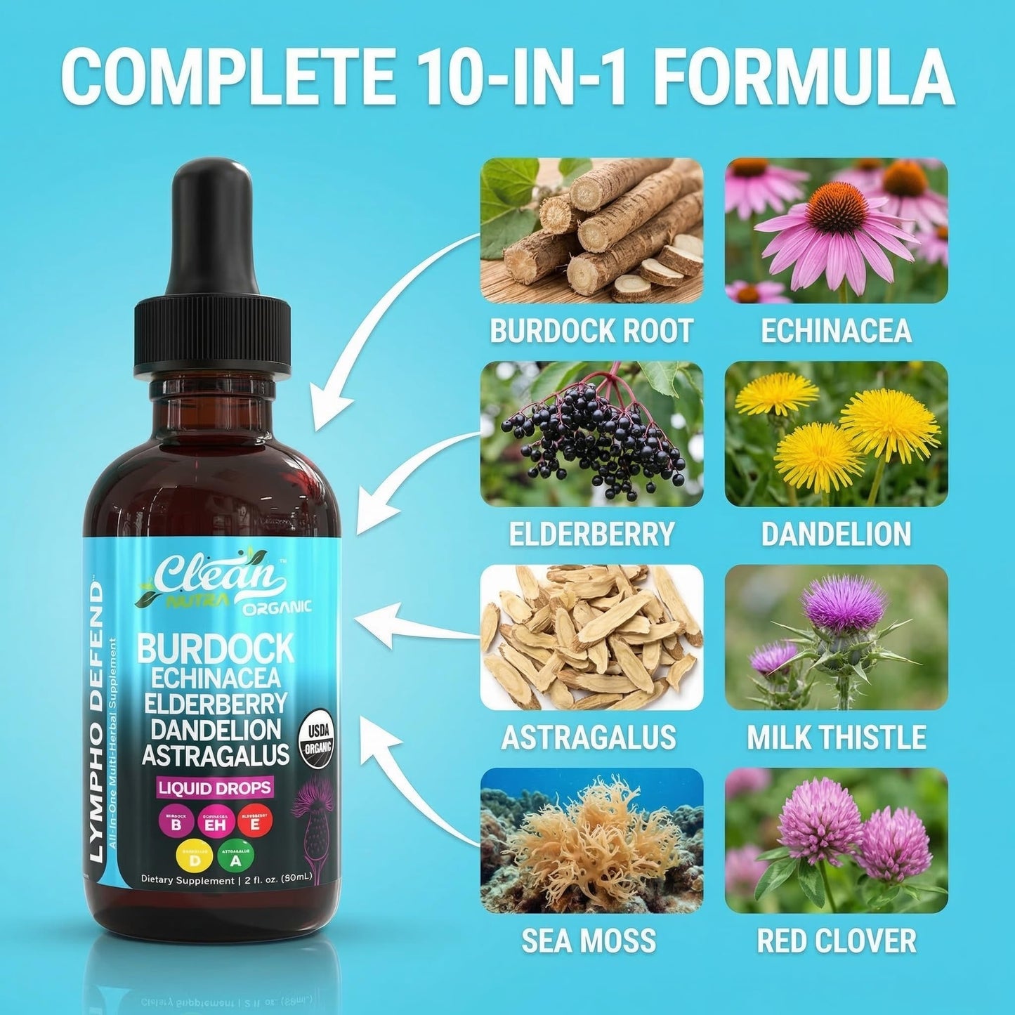 Organic Lymphatic Drainage Supplement | Lymphatic Support Drops | Burdock Root Echinacea Elderberry Dandelion Astragalus Milk Thistle Sea Moss Red Clover - Maple Wellness Supplements