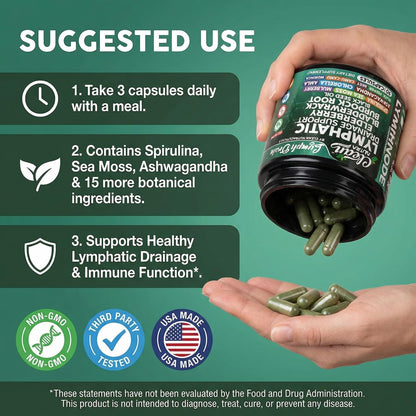 Organic Lymphatic Drainage Supplements | Elderberry Bladderwrack Burdock Root Black Seed Oil Spirulina Sea Moss Ashwagandha Chlorella Amla Beet Moringa Chlorophyll Lymph System Capsules By Clean Nutra - Maple Wellness Supplements