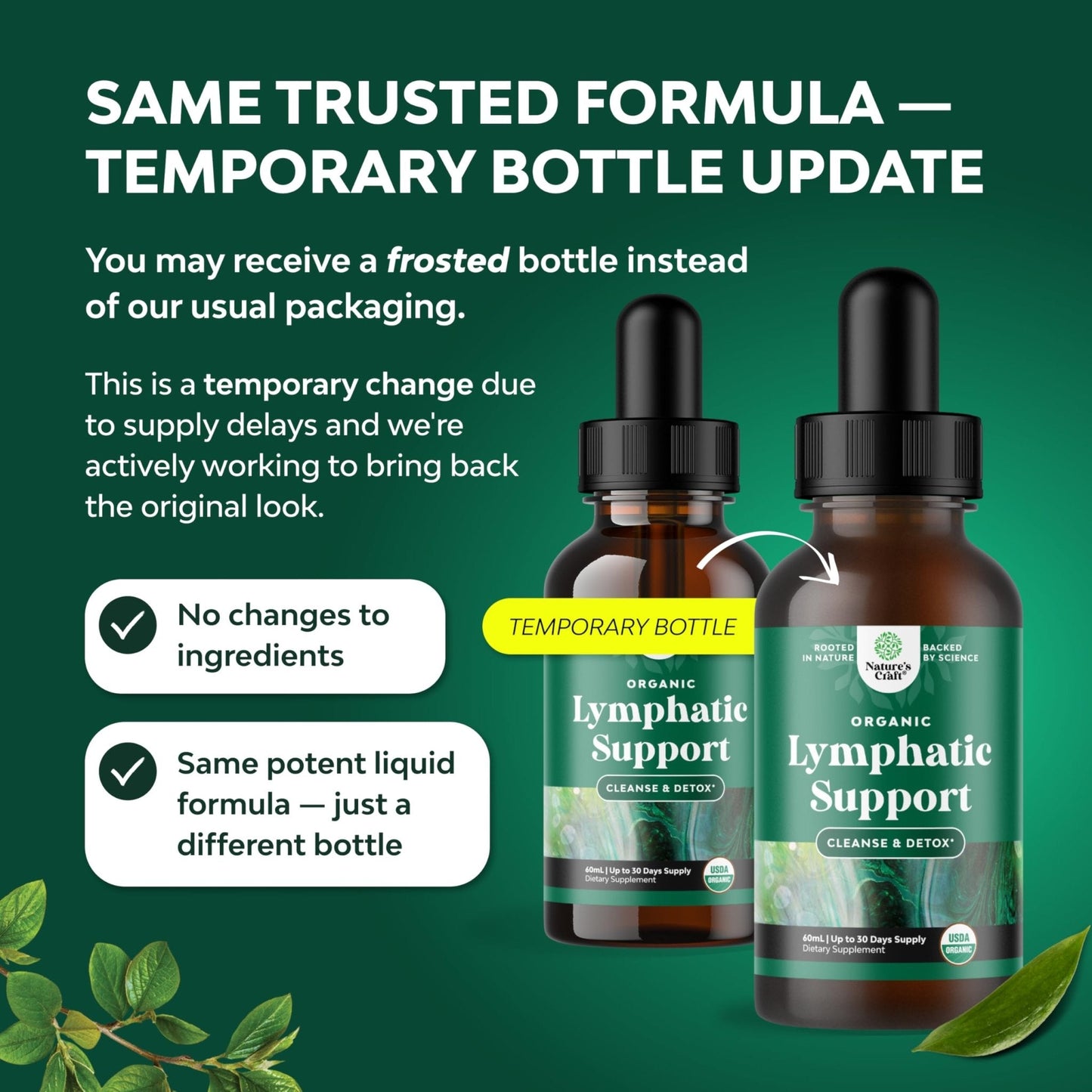 Organic Lymphatic Support Drainage Drops - Herbal Lymphatic Cleanse and Immune Support Supplement with Organic Echinacea Goldenseal & Red Clover Extract - Vegan Non GMO and Alcohol Free - 2 Fl Oz - Maple Wellness Supplements