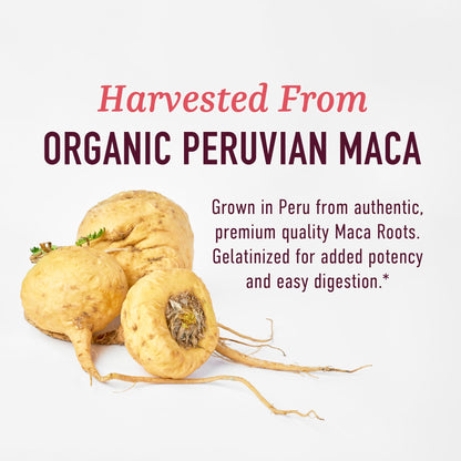 Organic Maca Root Capsules for Women | Peruvian Maca 2250MG Extra Strength | Red, Black & Yellow Root Powder with Black Pepper | Herbal Supplement - Maple Wellness Supplements