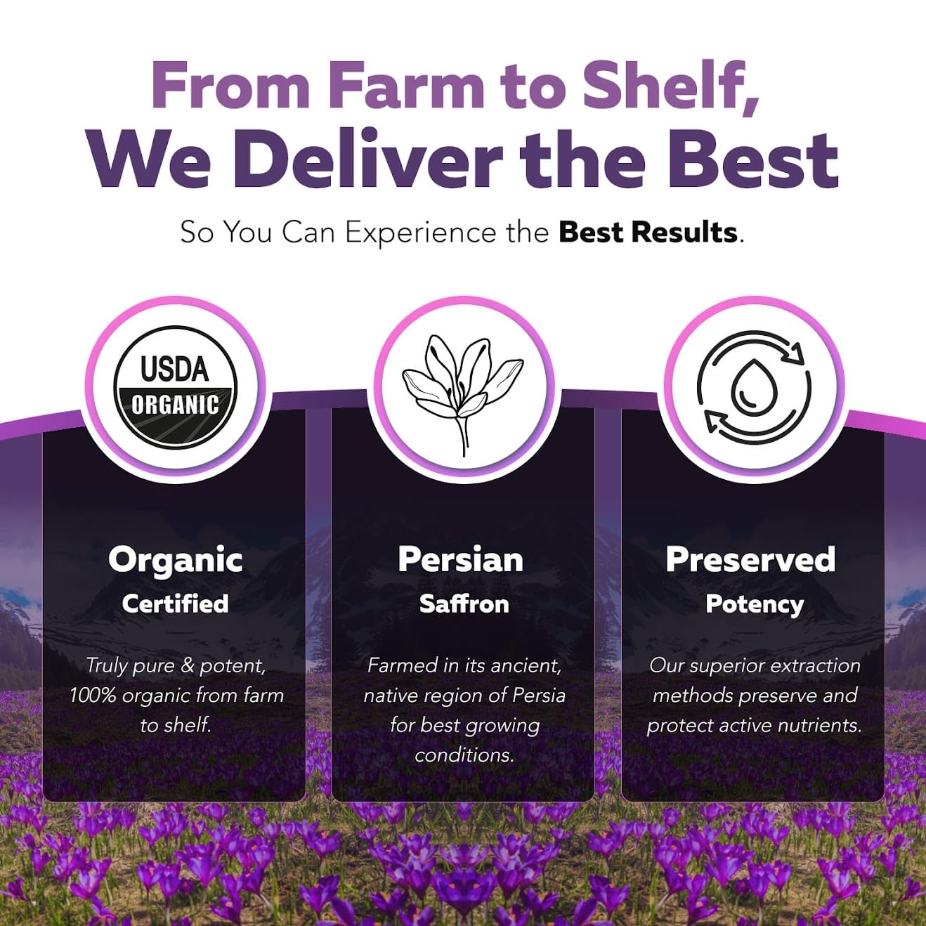 Organic Saffron Extract: Optimized Extract with Safromotivines, Safranal, and Crocins – Clinically Studied | Premium Persian Sargol Quality | Supports Mood, - Maple Wellness Supplements