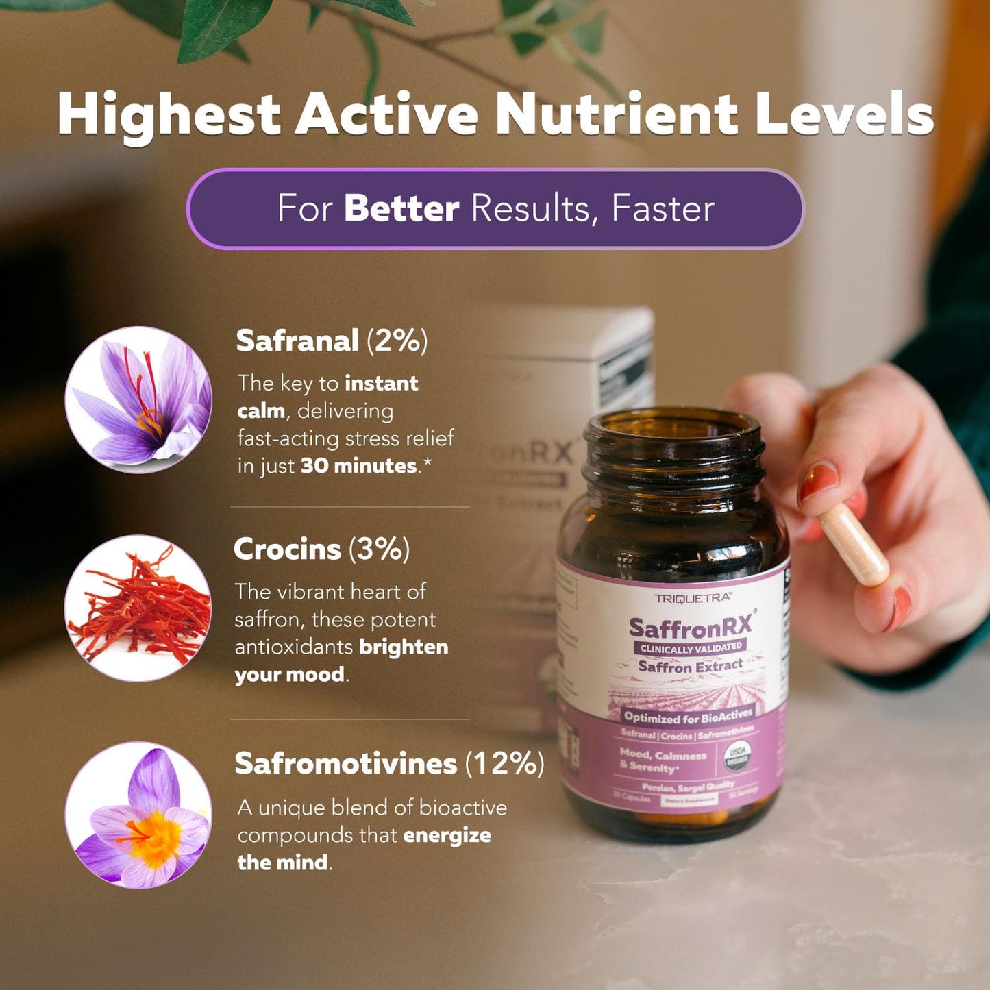 Organic Saffron Extract: Optimized Extract with Safromotivines, Safranal, and Crocins – Clinically Studied | Premium Persian Sargol Quality | Supports Mood, - Maple Wellness Supplements