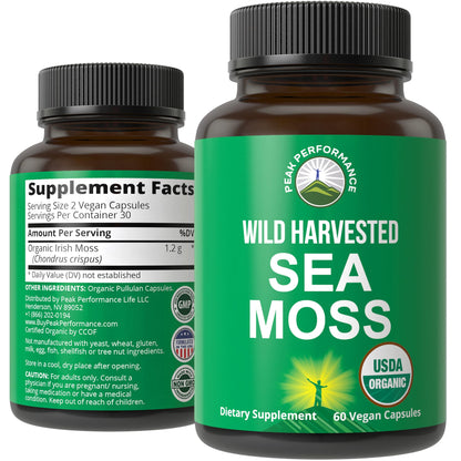 Organic Sea Moss Capsules. Wild Harvested Sea Moss Raw Organic Vegan Supplement from Red Algae Seaweed. 100% Whole Extract Raw Irish SeaMoss Superfood Pills. for Gut, Respiratory, Immune Support. - Maple Wellness Supplements