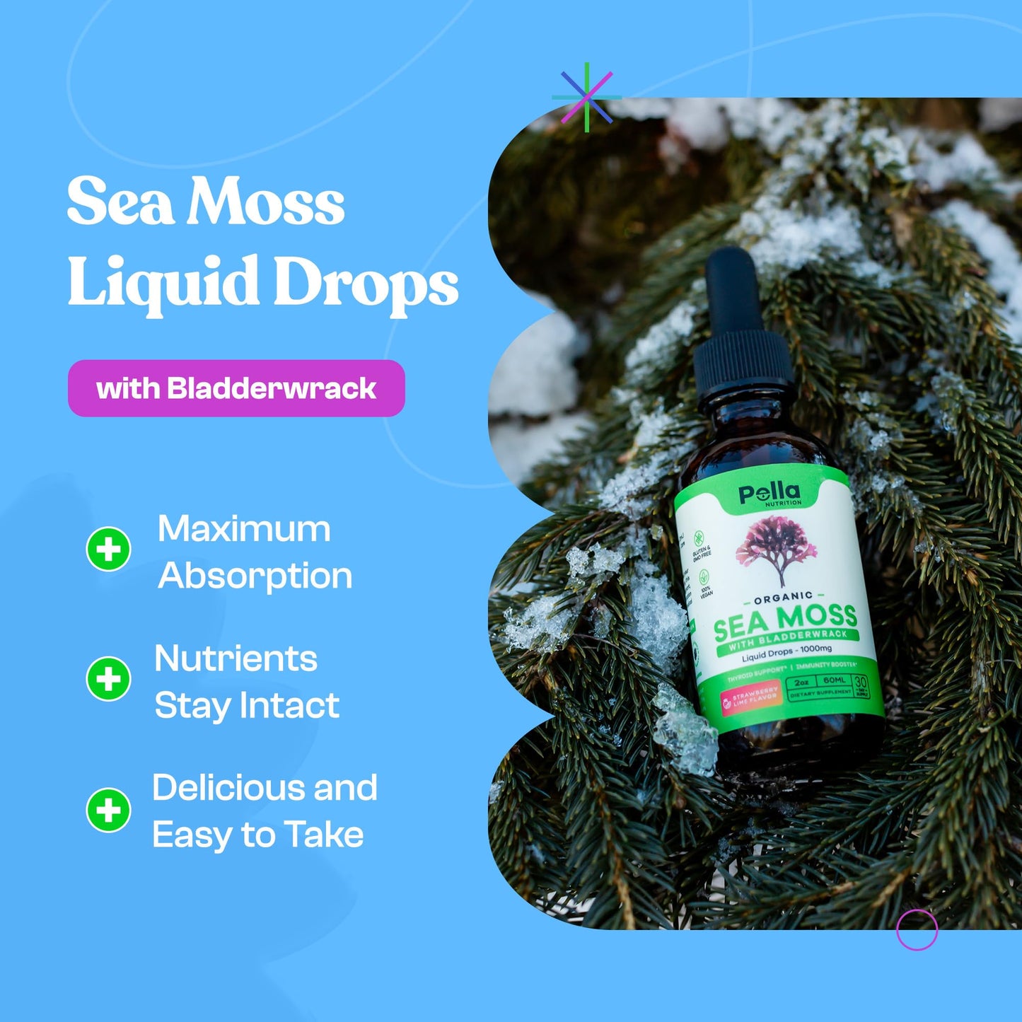 Organic Sea Moss Drops - 1000mg Irish Sea Moss - 4X Stronger than Sea Moss Gel - Maple Wellness Supplements