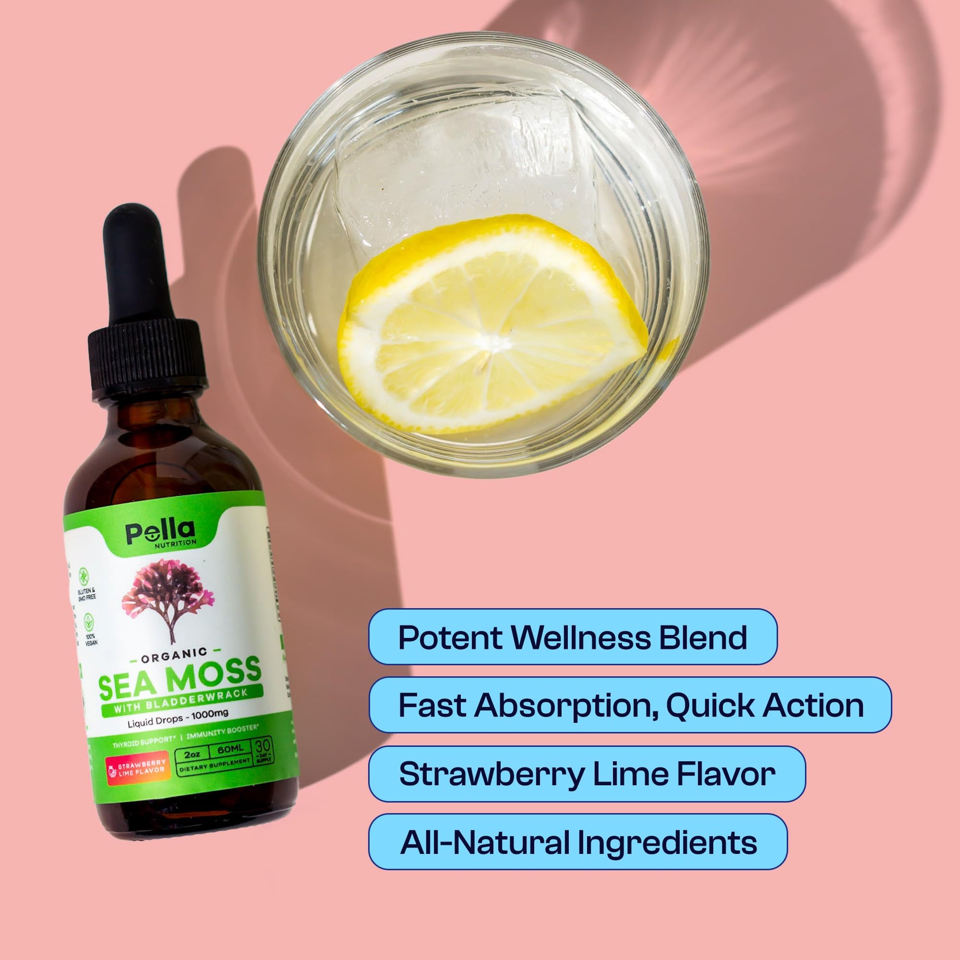 Organic Sea Moss Drops - 1000mg Irish Sea Moss - 4X Stronger than Sea Moss Gel - Maple Wellness Supplements