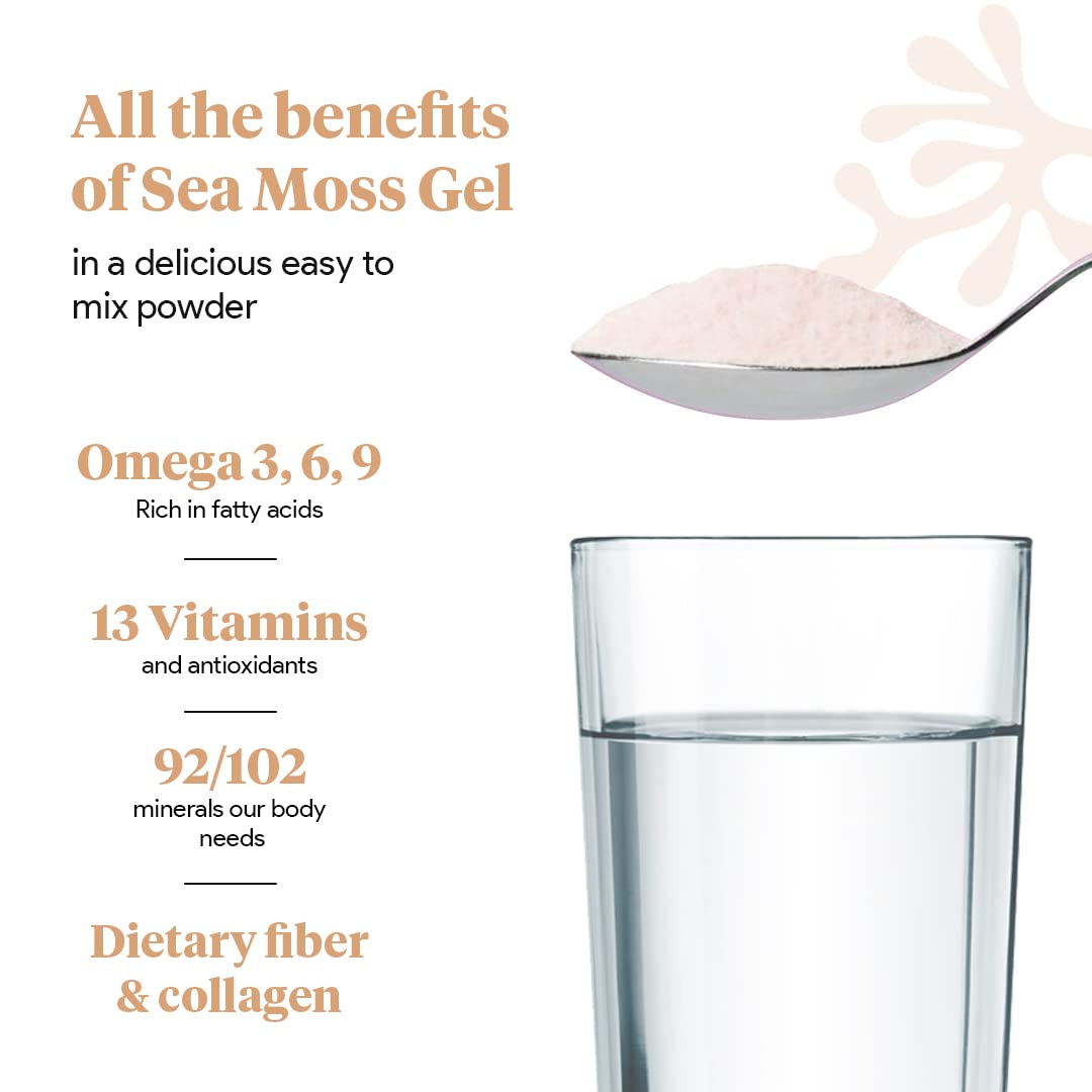 Organic Sea Moss Superfood Powder with Ashwagandha, Beet Root, and Maca - Maple Wellness Supplements