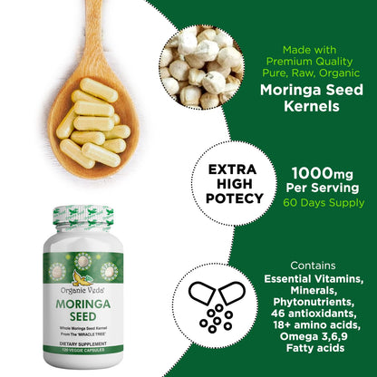 Organic Veda Moringa Seed Capsules - Pure Organic Moringa Capsules Seed Powder - Maple Wellness Supplements
