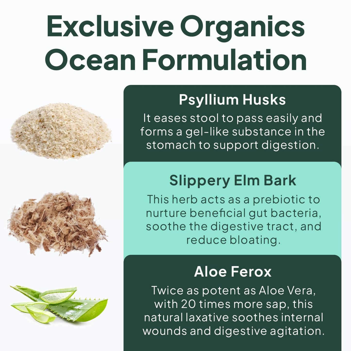 Organics Ocean Better Fiber - Daily Fiber Supplement - Soften Stool for Effortless Bowel Movements - with Psyllium Hulk and Slippery Elm - 90 Capsules - Maple Wellness Supplements