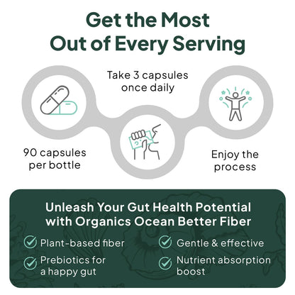 Organics Ocean Better Fiber - Daily Fiber Supplement - Soften Stool for Effortless Bowel Movements - with Psyllium Hulk and Slippery Elm - 90 Capsules - Maple Wellness Supplements