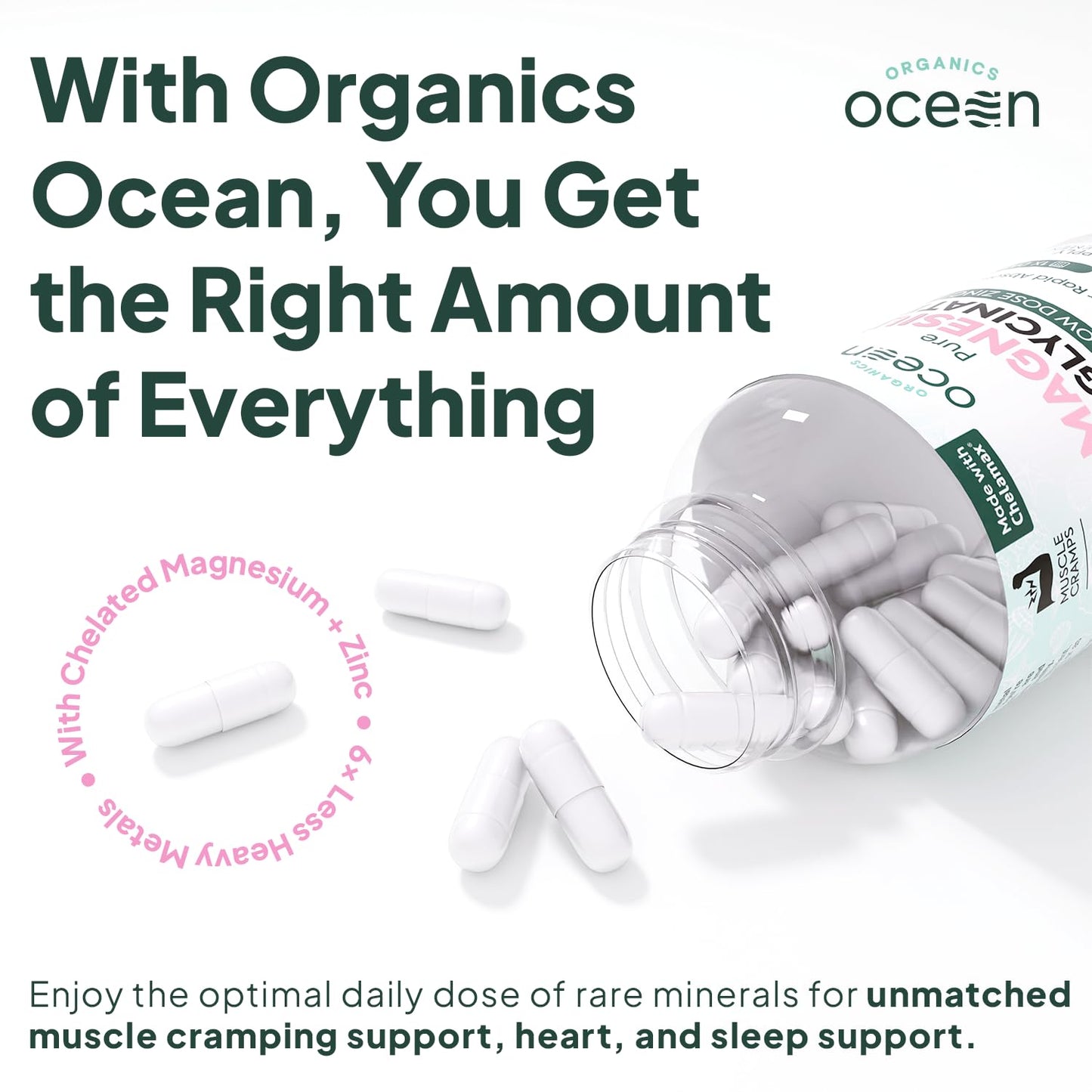 Organics Ocean Pure Magnesium Glycinate with Zinc - Maximum Strength Chelated Magnesium Supplement for Women and Men for Muscle Cramps and Sleep Support - 3 Bottles - Maple Wellness Supplements