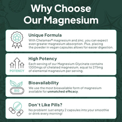 Organics Ocean Pure Magnesium Glycinate with Zinc - Maximum Strength Chelated Magnesium Supplement for Women and Men for Muscle Cramps and Sleep Support - 3 Bottles - Maple Wellness Supplements