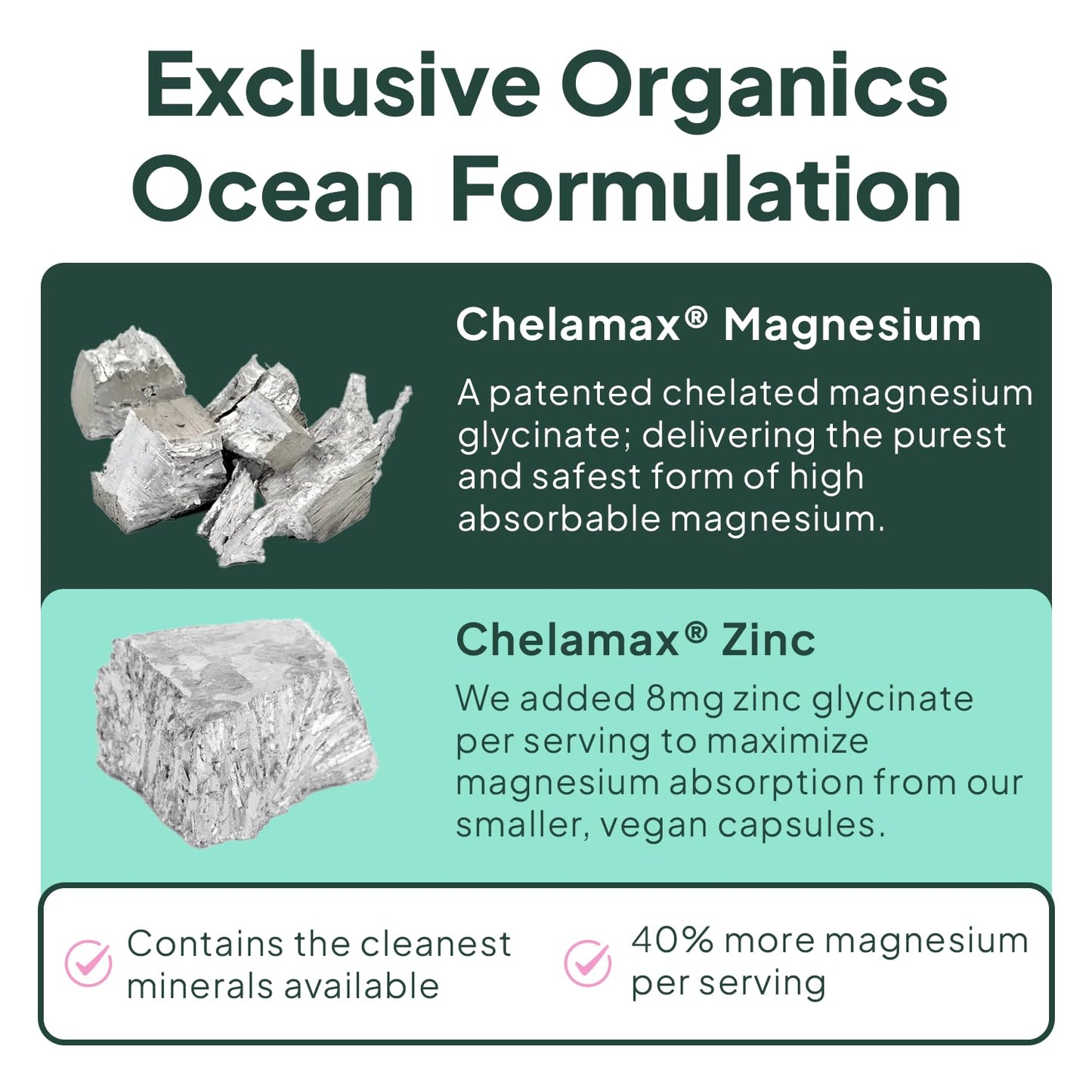 Organics Ocean Pure Magnesium Glycinate with Zinc - Maximum Strength Chelated Magnesium Supplement for Women and Men for Muscle Cramps and Sleep Support - 3 Bottles - Maple Wellness Supplements